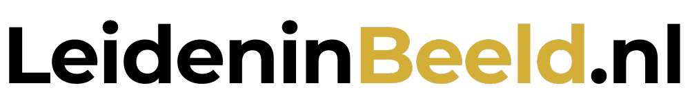 LeideninBeeld.nl Logo